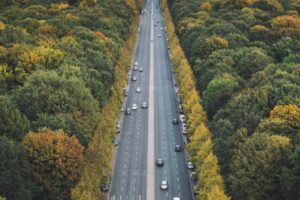 Cities are Not Biological Deserts