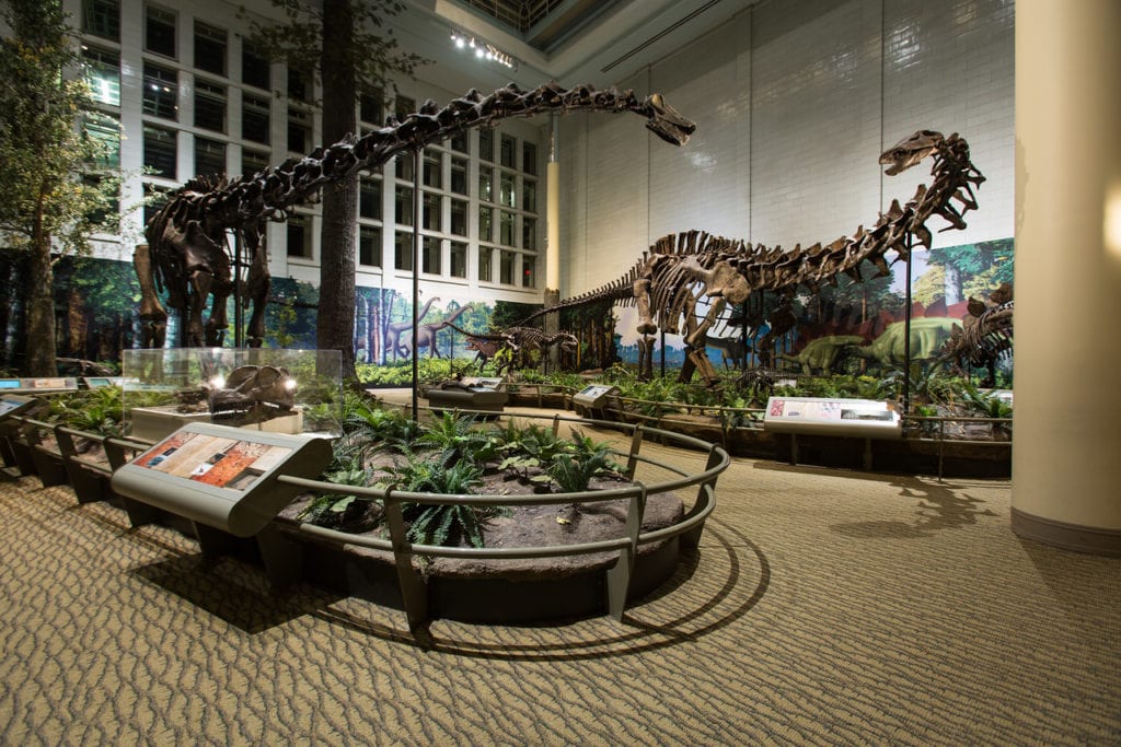 herbivores in Dinosaurs in their Time