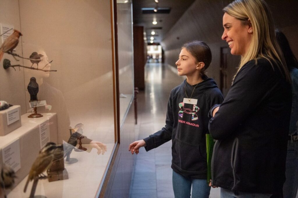 two museum goers look at taxidermied birds