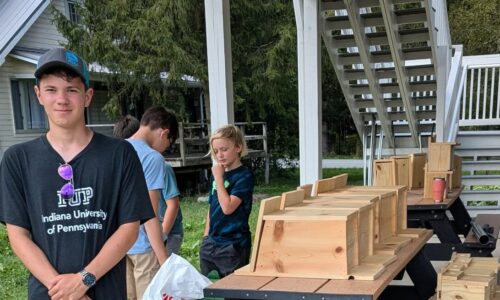 (De)Forested Flight: An Eagle Scout Project at Powdermill