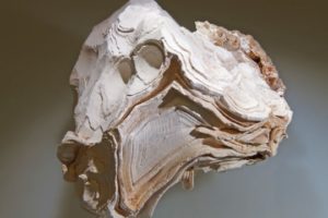 Thanksgiving and Nutritional Mineralogy