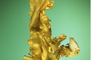 Section of Minerals and Earth Sciences Celebrates Being Lucky!