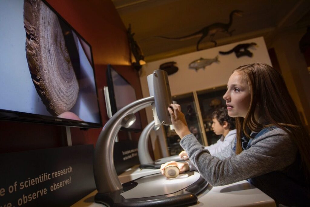 kids observing a magnified view of a specimen
