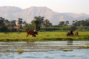 Egypt and the Nile
