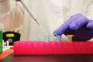 The Molecular Lab at Powdermill