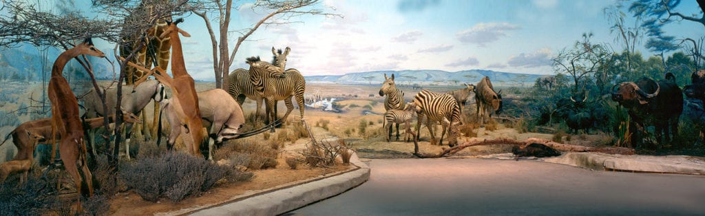 Hall of African Wildlife