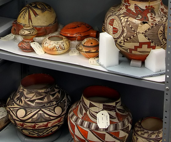 Section of Anthropology