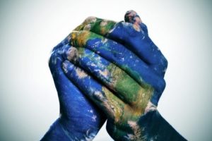 New Anthropocene Studies Paper in Curator: The Museum Journal