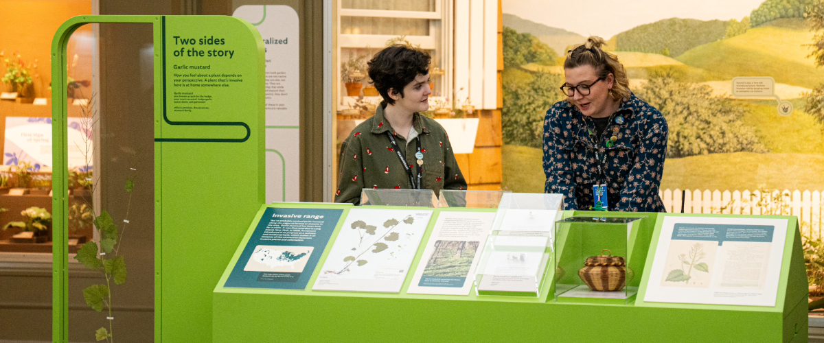 staff in a museum exhibition