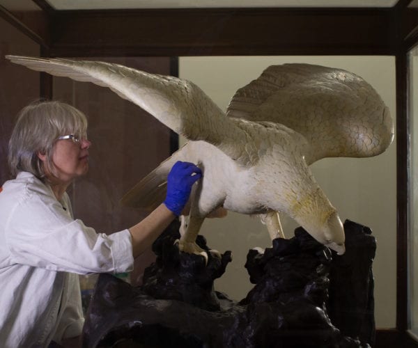 Conservation Section