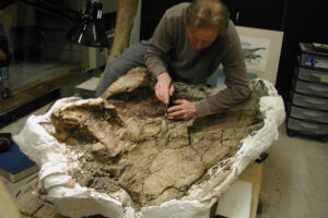 Mesozoic Monthly: Dreadnoughtus
