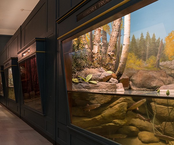 Art of the Diorama