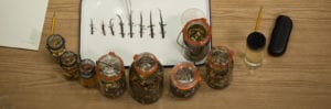 A desk with amphibian and reptile specimens representing the section of herpetology