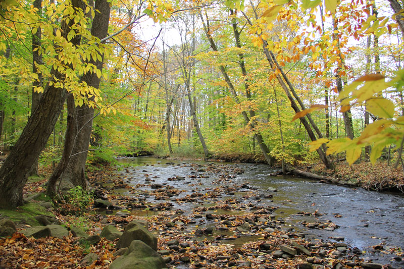 Pennsylvania stream