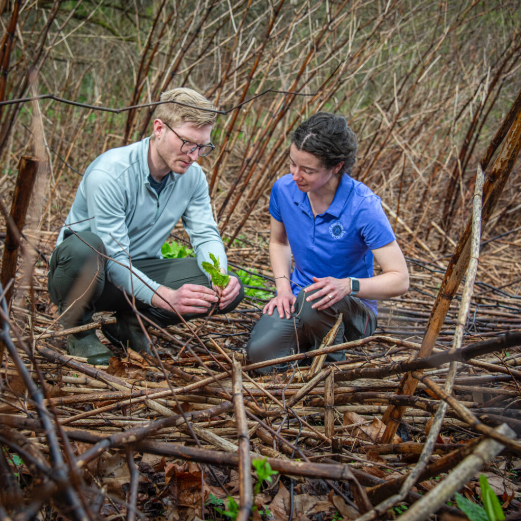 two people outdoors looking at plants