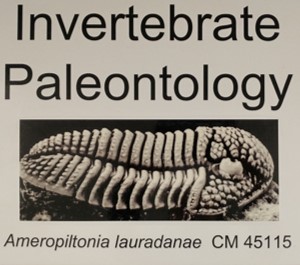 Invertebrate Paleontology