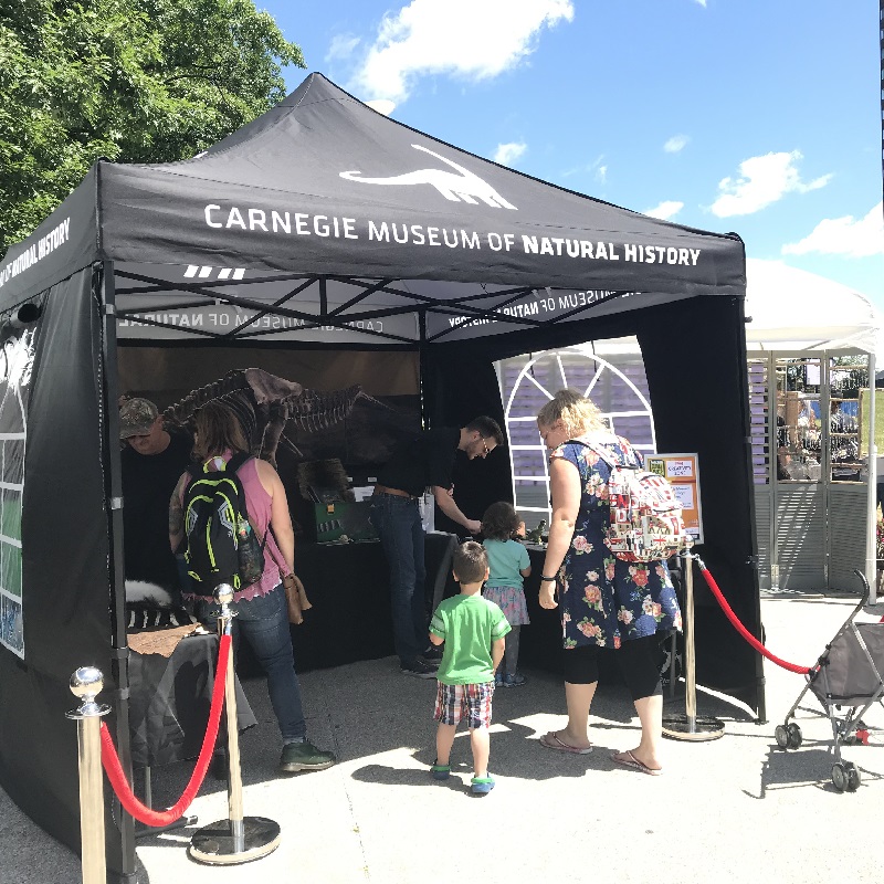 mini museum tent