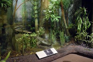 Pennsylvania wildlife display
