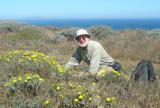 Pearce collecting snails at Carrington Point