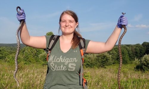A Summer Internship at Powdermill