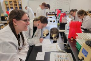 Museum Connections to a College Lab