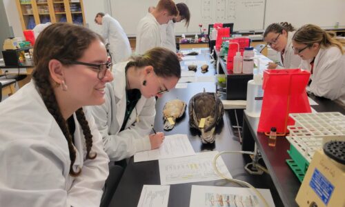 Museum Connections to a College Lab