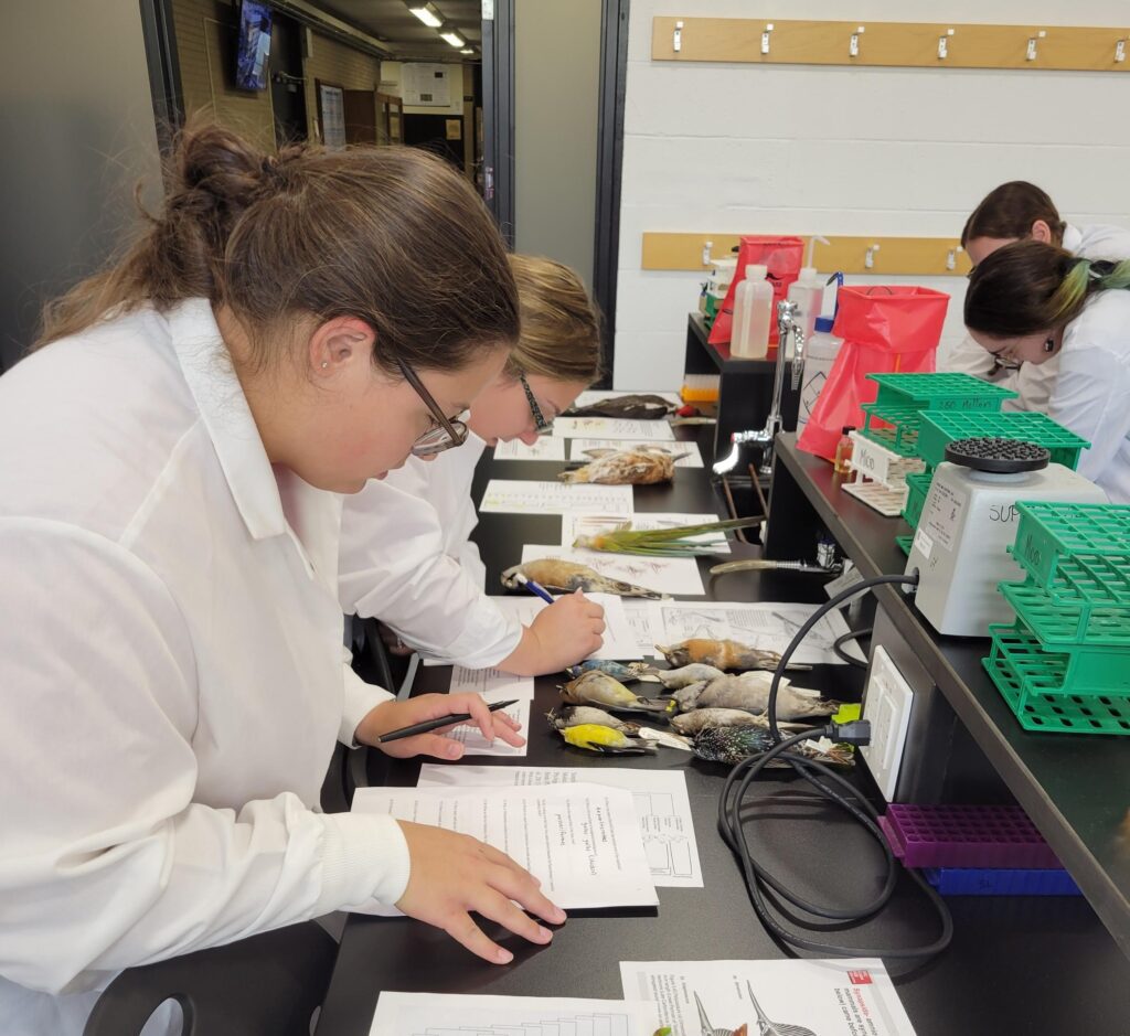 students looking at bird study skins on a lab table