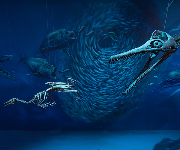 Creataceous Seaway