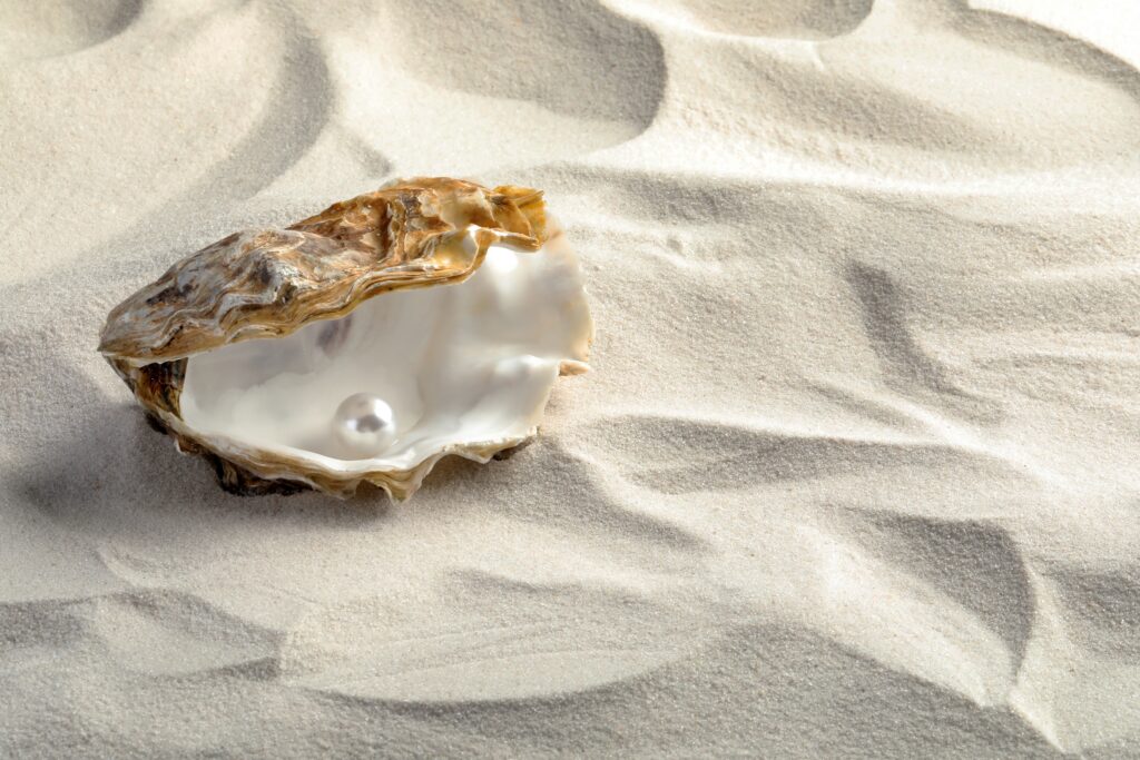 oyster shell with a pearl