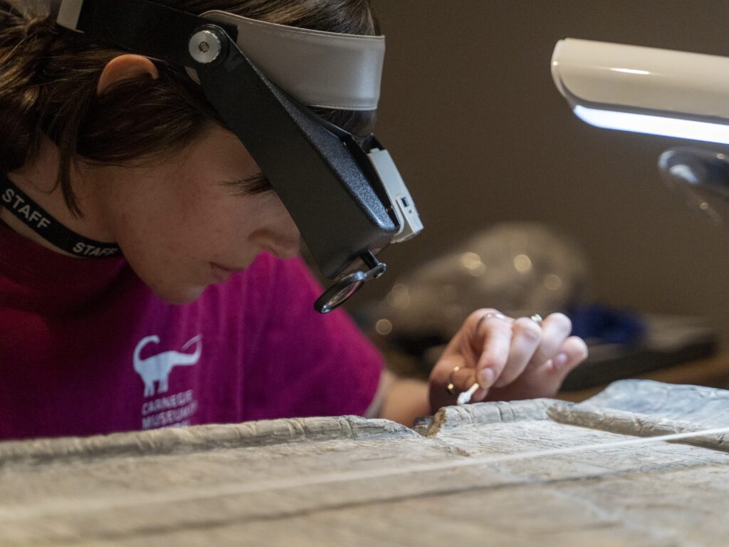 staff member cleaning a stele