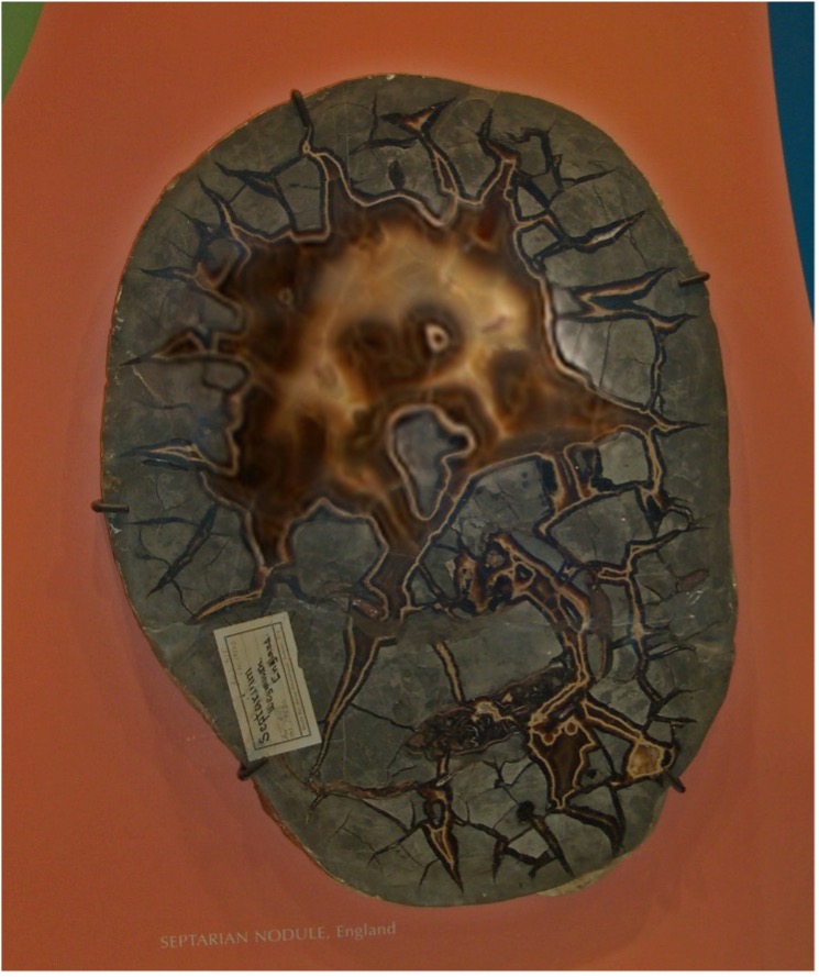 The Scream septarian concretion