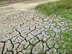 cracked dry ground with grass growing out of one side