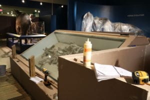 Renovating Age of Mammals: The Cenozoic Era