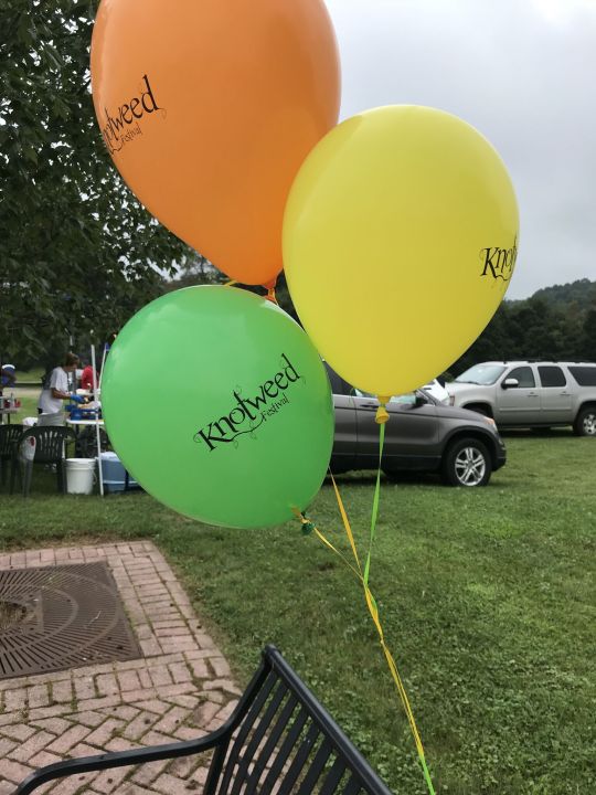 Knotweed Festival balloons