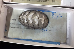 Risk Assessment, or how to keep your collection intact