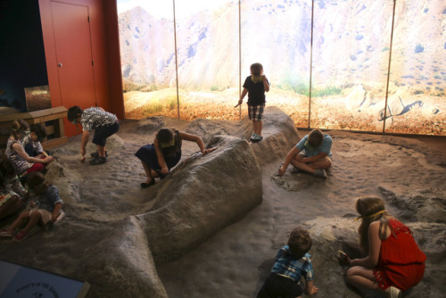 children digging in bonehunters' quarry