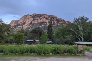Two Perspectives on Attending a Course on Moths and Butterflies in the Southwest