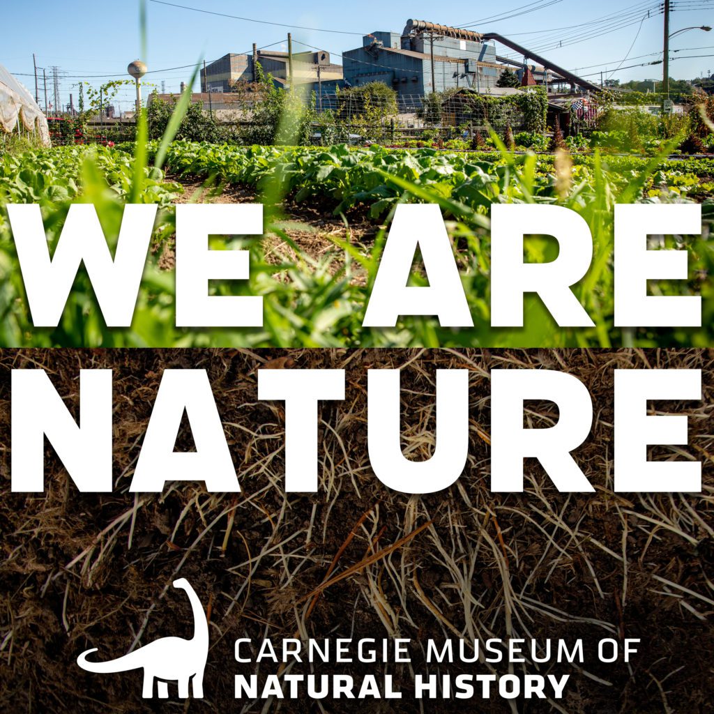 cover art for the We Are Nature podcast