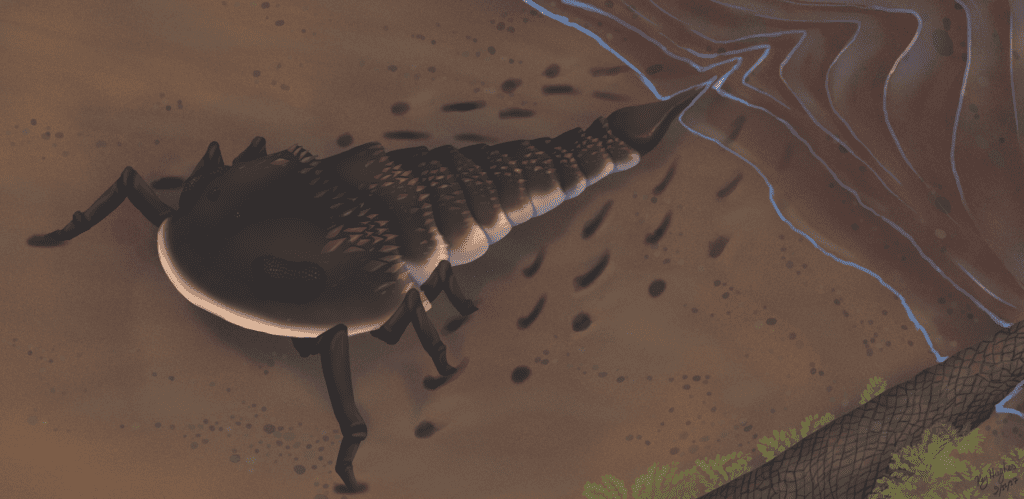 giant eurypterid illustration