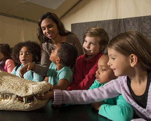 An educator shows students a specimen