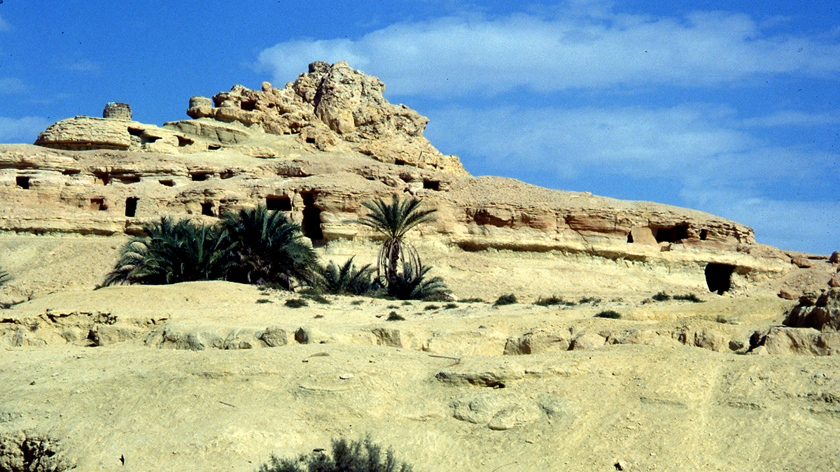 excavation site
