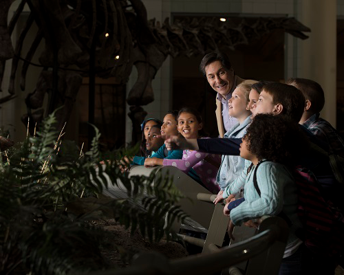 Students on a field trip in Dinosaurs in their Time