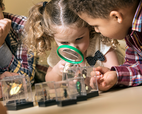 Children inspect a specimen with a magnifying glass