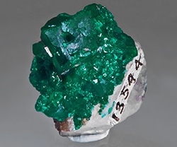 A dioptase crystal from Kazakhstan, part of Lewis’ collection and donated to the museum. 