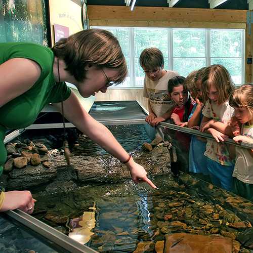 An educator at Powdermill Nature Reserve with kids
