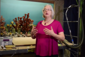 Scientists Live: Conservator Gretchen Anderson