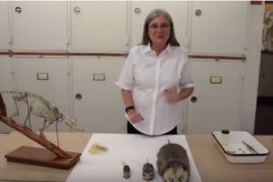 Ask a Scientist: What is one of the more unique…