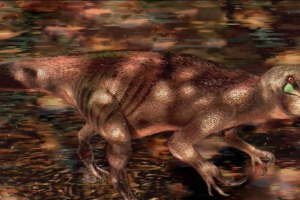 Ask A Scientist – What Kind of Dinosaur is a Megaraptorid?
