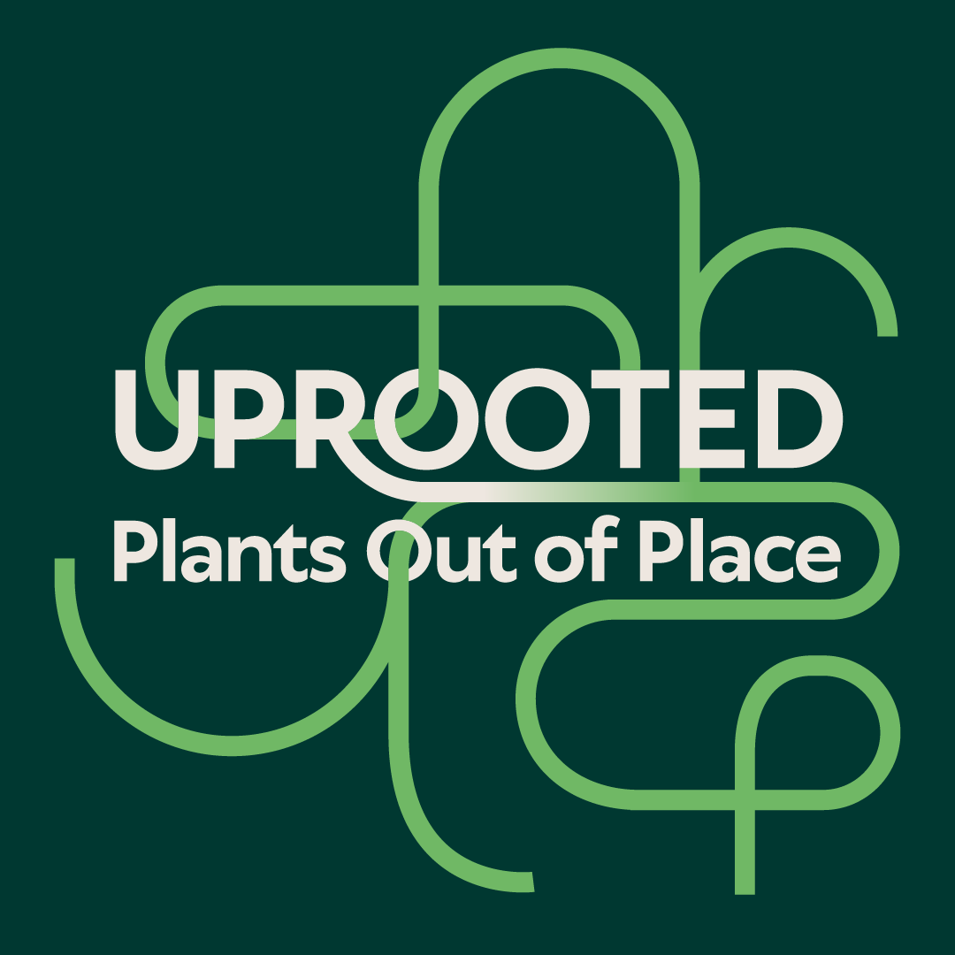 Uprooted logo